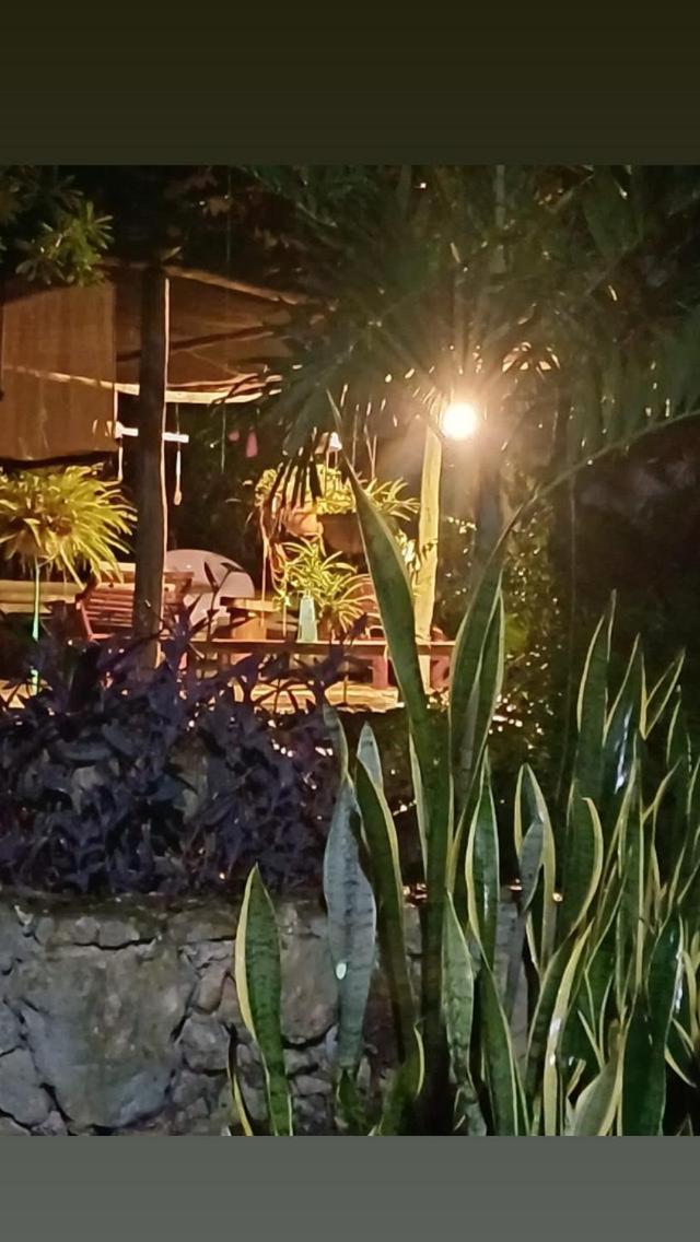 Bed and Breakfast Casa Tzalam Tulum Selva Экстерьер фото